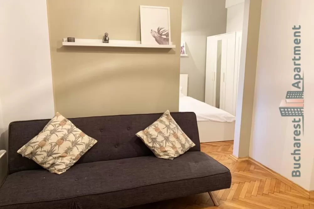 Two Rooms Unirii Area Apartment for Rent 5