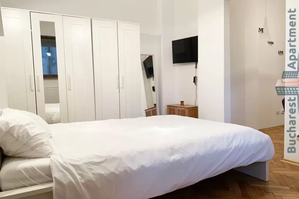 Two Rooms Unirii Area Apartment for Rent 6