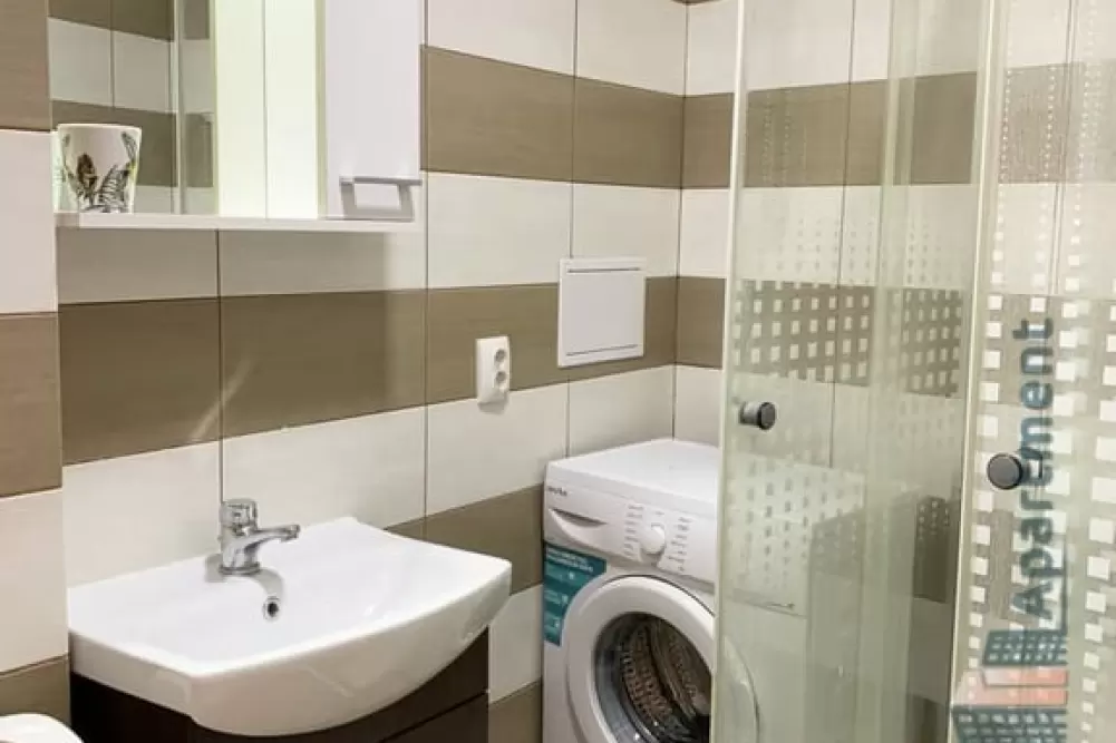 Two Rooms Unirii Area Apartment for Rent 9