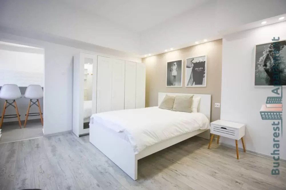 Piata Victoriei Studio for Rent 1