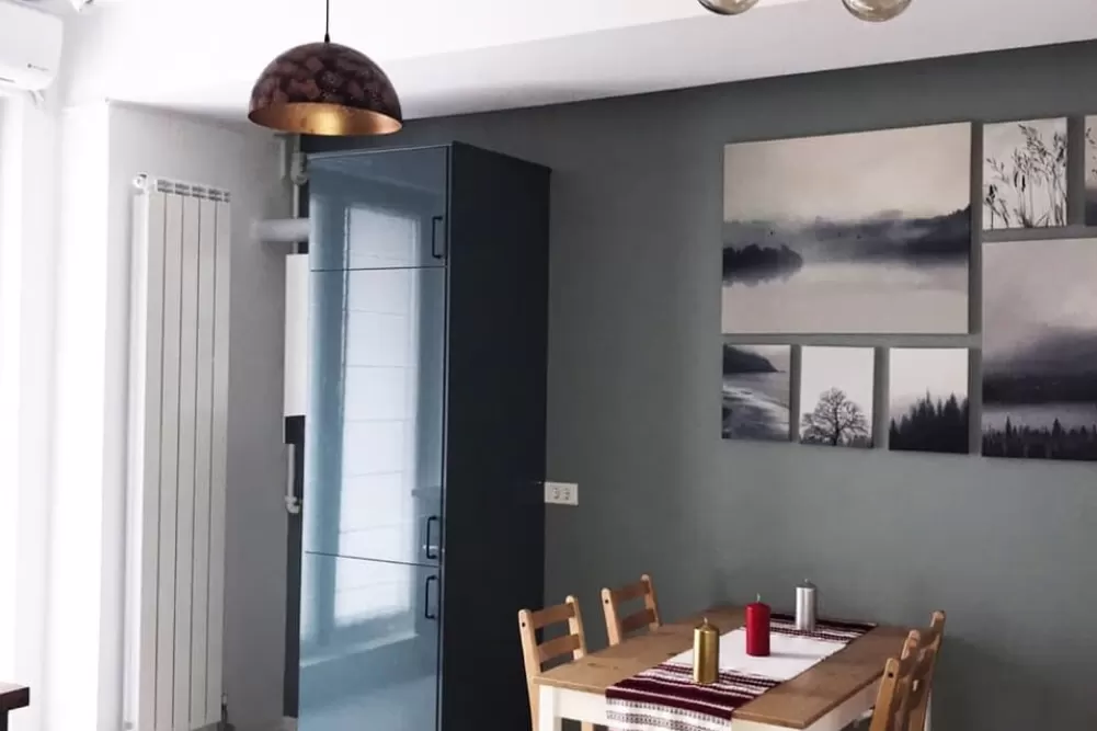 Luxury 2 Rooms Apartment for Rent Cismigiu 1