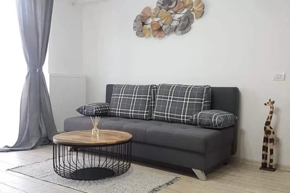 Universitate Square Apartment for Rent 6