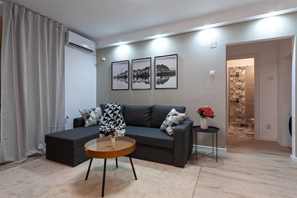 Modern 2 Rooms Apartment 3