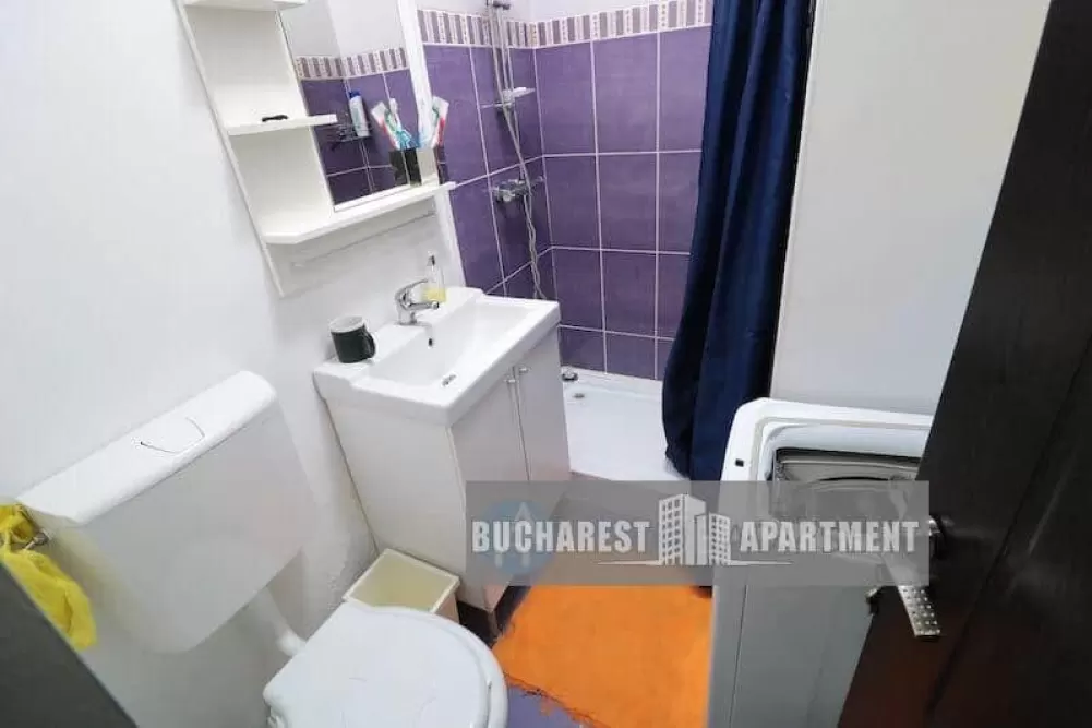 Small Studio For Rent Brezoianu Street 7