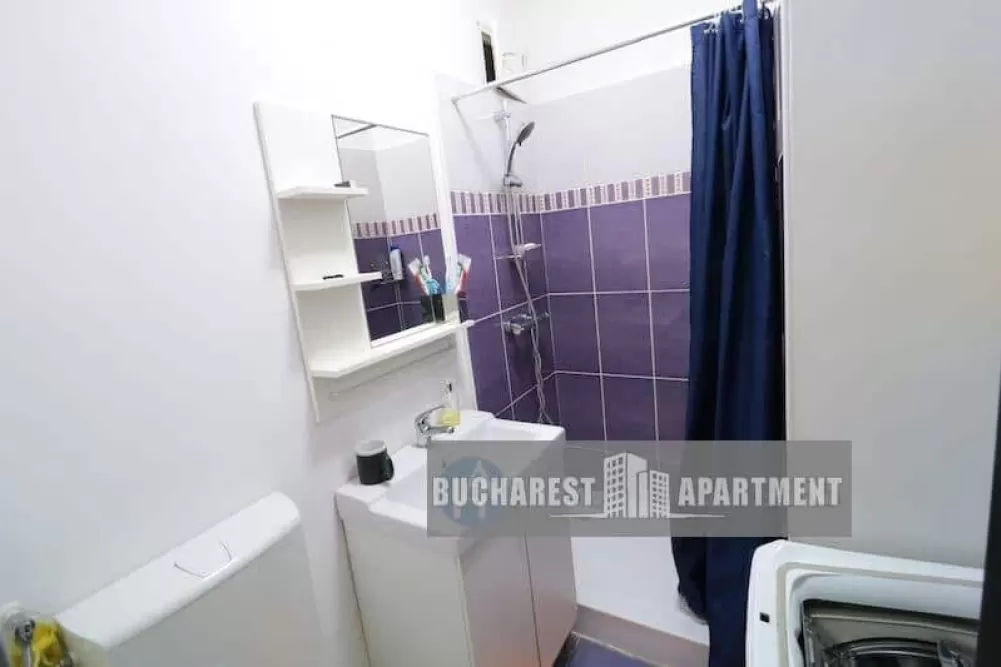 Small Studio For Rent Brezoianu Street 8
