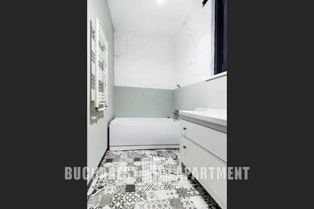 Villa for Rent in Bucharest Center 17