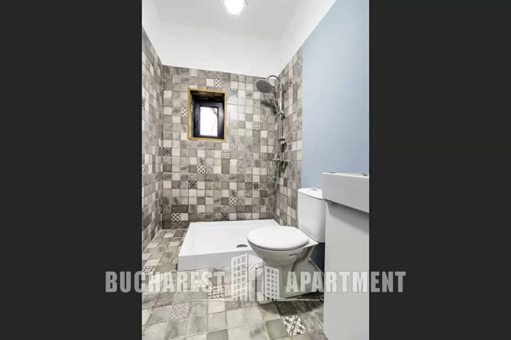 Villa for Rent in Bucharest Center 18