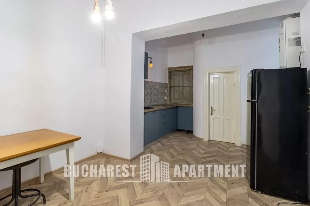 Villa for Rent in Bucharest Center 20