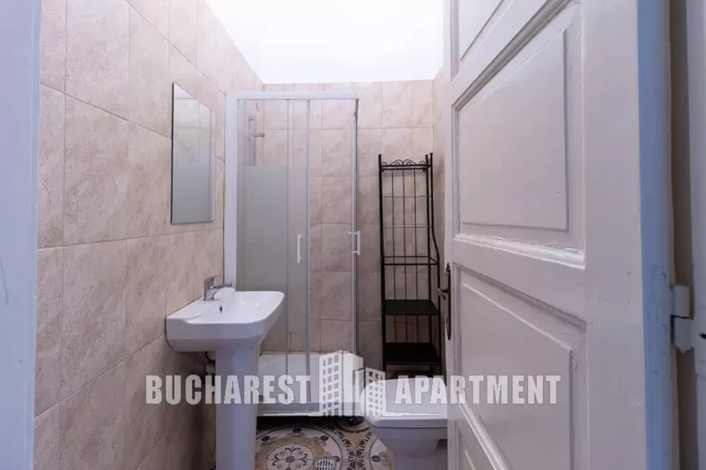 Villa for Rent in Bucharest Center 21