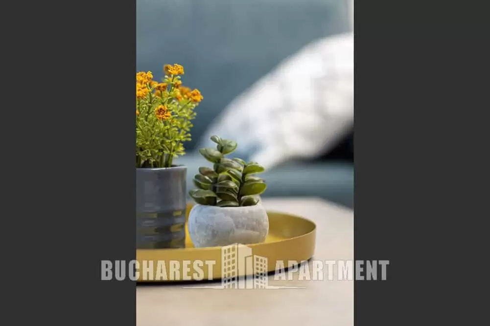 Apartament Boutique Bloc Nou Calea Victoriei 13