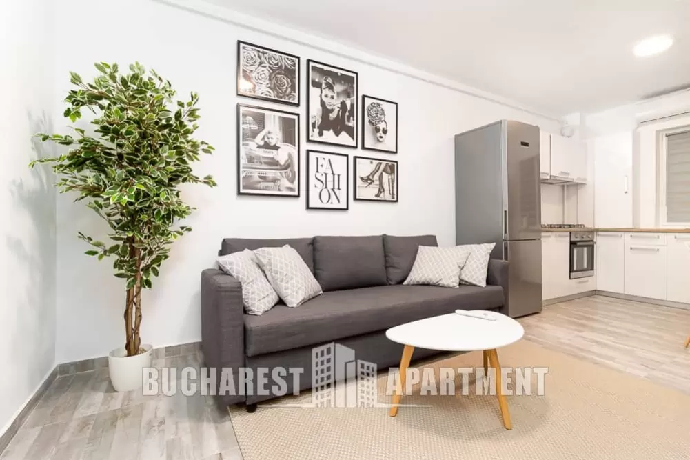 Apartment in Berceni for Rent 1