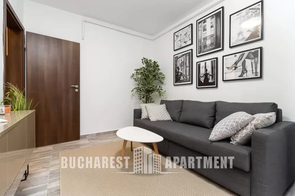 2 Rooms Apartment for Rent in Berceni 1