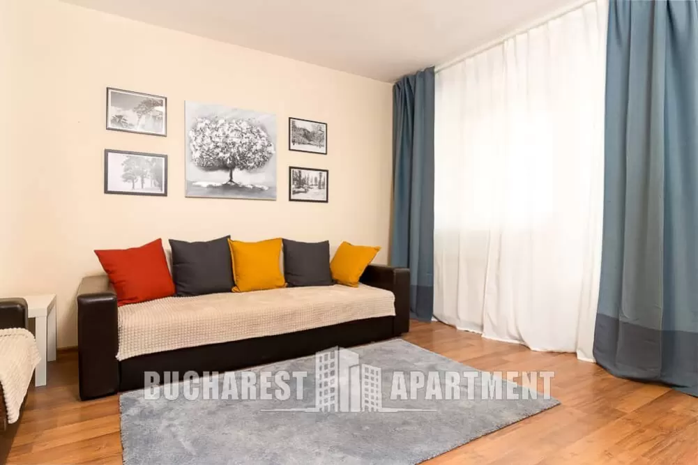 Modern Studio for Rent Drumul Taberei 1