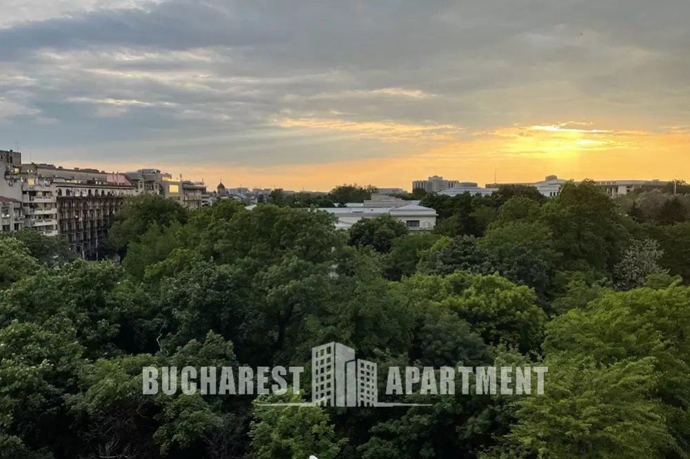 3 Rooms Apartment Kogalniceanu 9