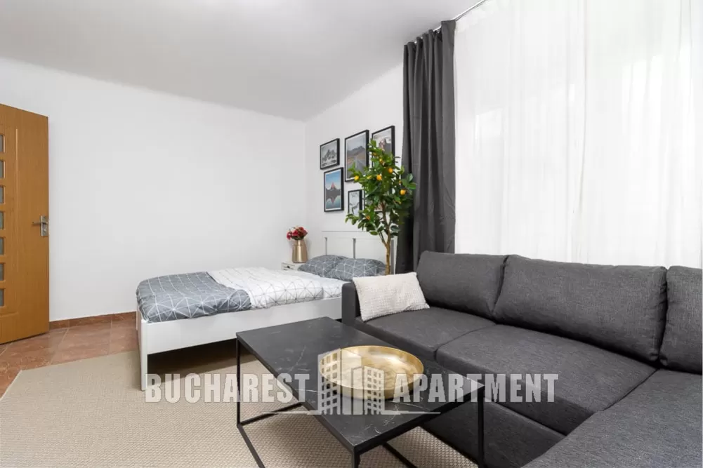 Studio Apartment Mosilor 1