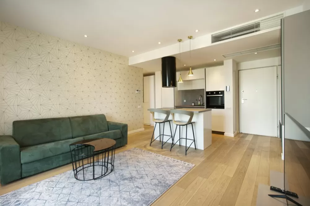 2 Rooms One Herastrau Plaza 1