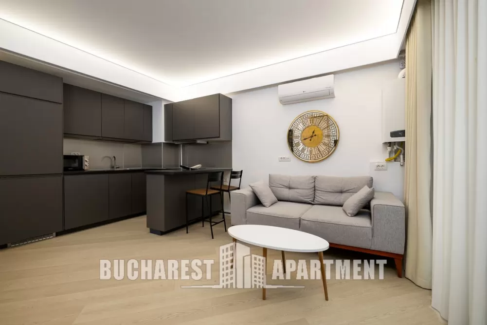 Gemütliche 2 Zimmer Wohnung Pipera 1