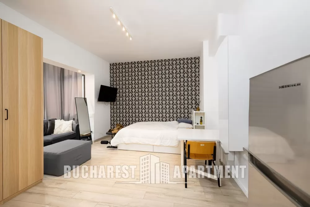 Piata Victoriei Studio Apartment 1