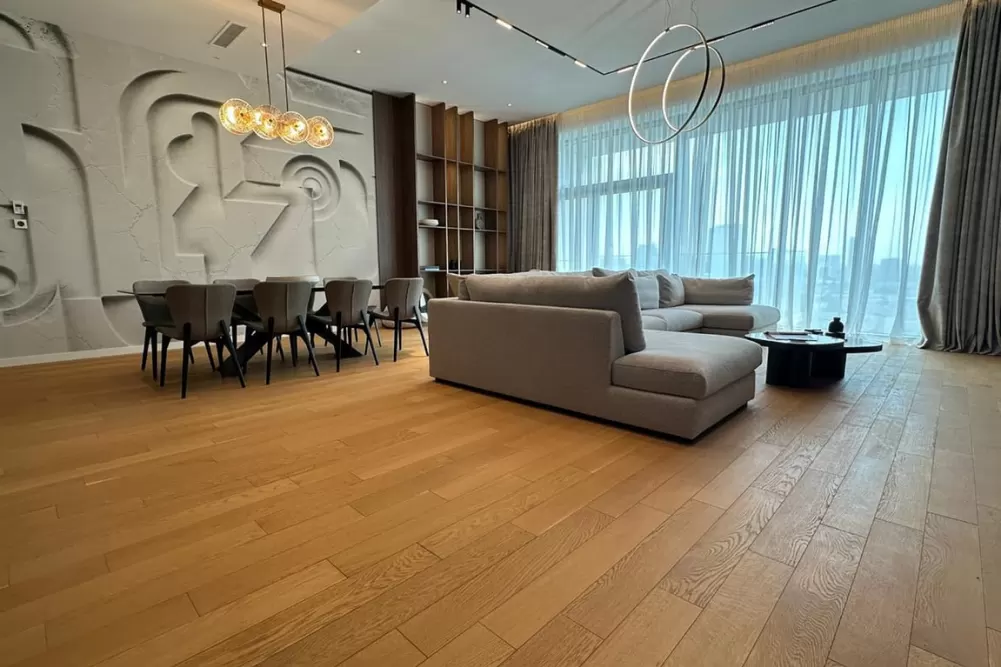 Penthouse Herastrau Park Area 2