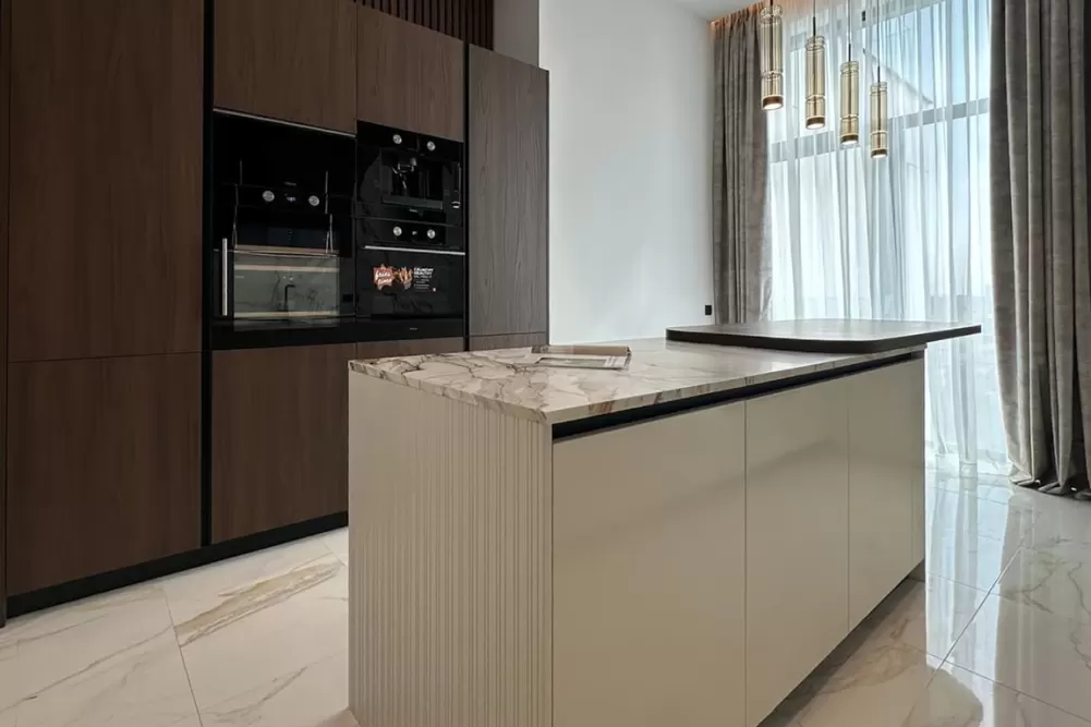 Penthouse Herastrau Park Area 6