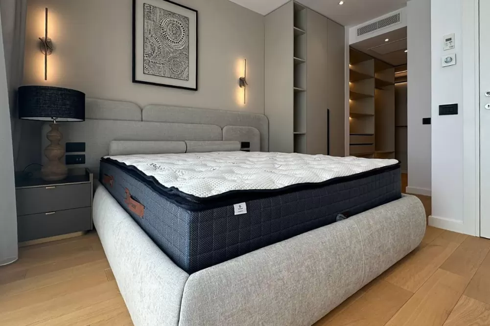 Penthouse Herastrau Park Area 11