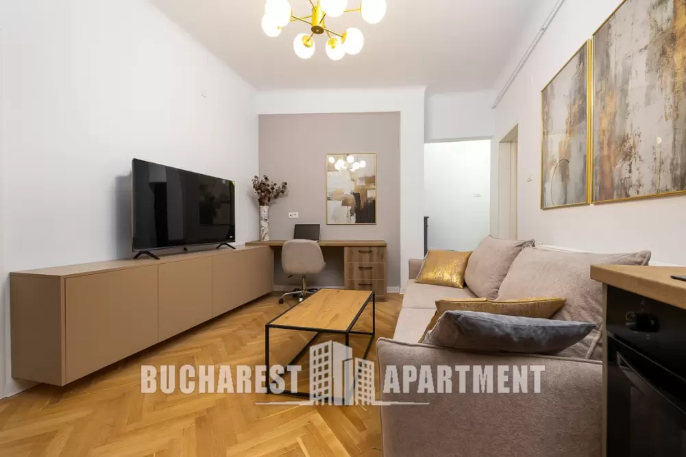 Contemporary 2 Rooms Apartment Cismigiu 1