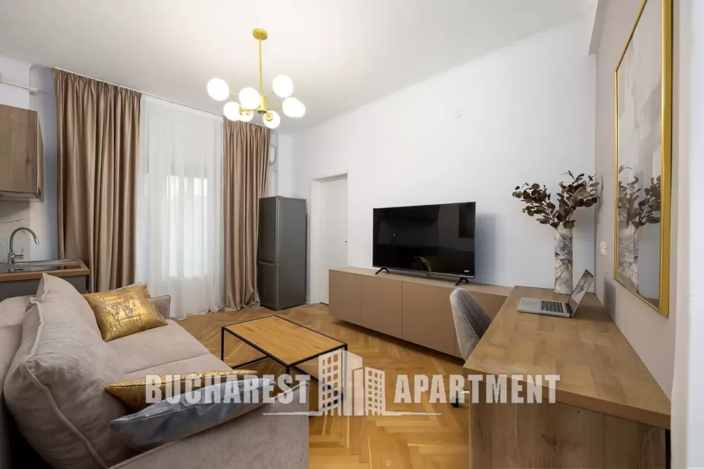 Contemporary 2 Rooms Apartment Cismigiu 2