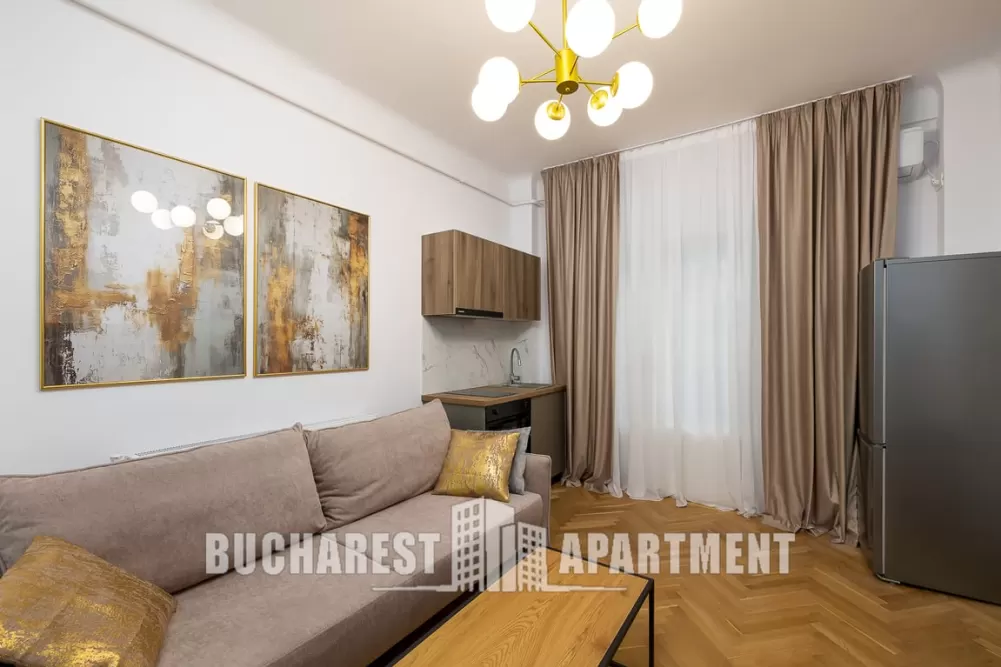 Contemporary 2 Rooms Apartment Cismigiu 3