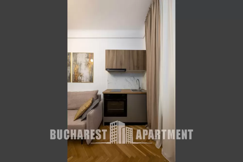 Contemporary 2 Rooms Apartment Cismigiu 8