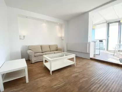 Central Apartment Cismigiu Park