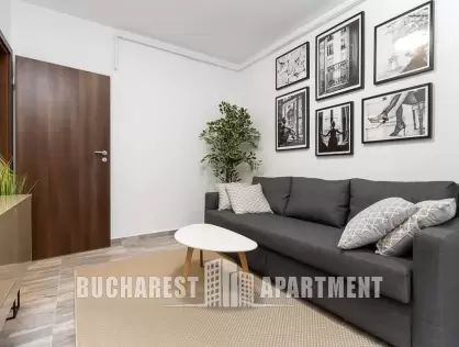 2 Rooms Apartment for Rent in Berceni