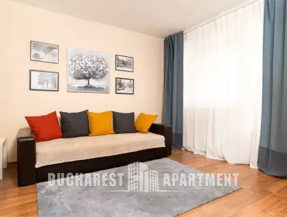 Modern Studio for Rent Drumul Taberei