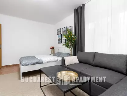 Studio Apartment Mosilor