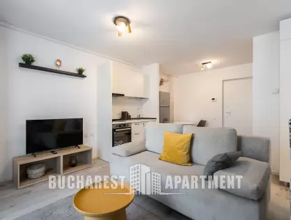 Studio Apartment H Pipera Lake