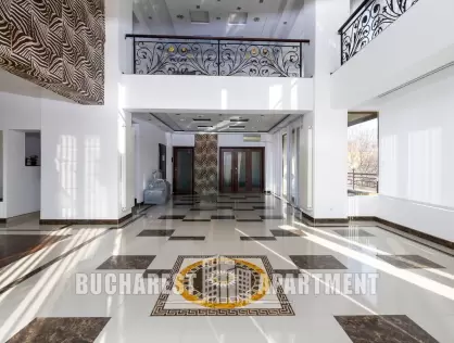 Office for Rent Herastrau