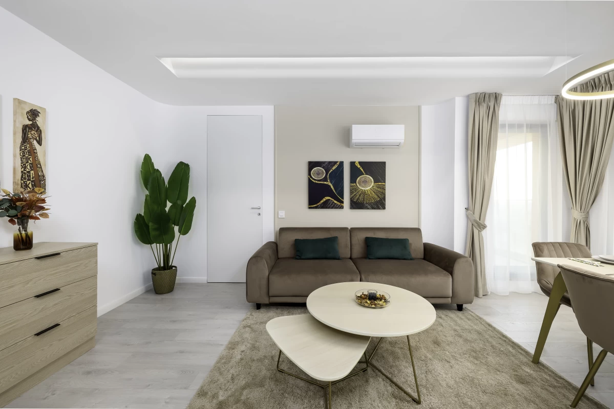 Contemporary Living Room