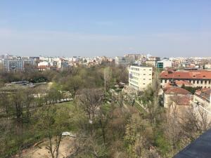 View from apartment to Cismigiu parc